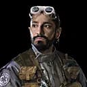 Bodhi Rook